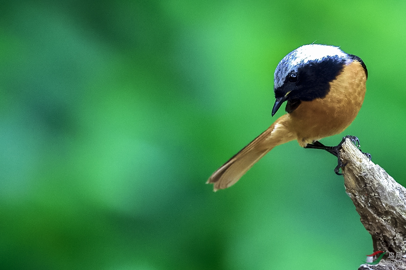 _DSC5771_7677a.jpg