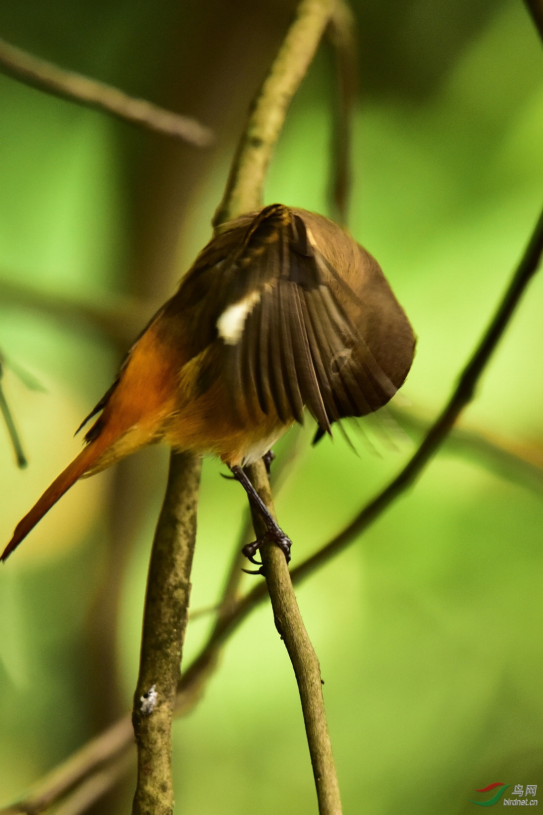 DSC_0273.JPG