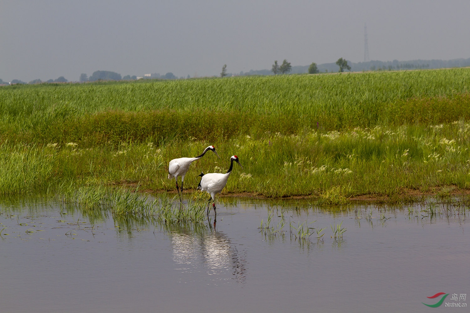 IMG_6616.jpg