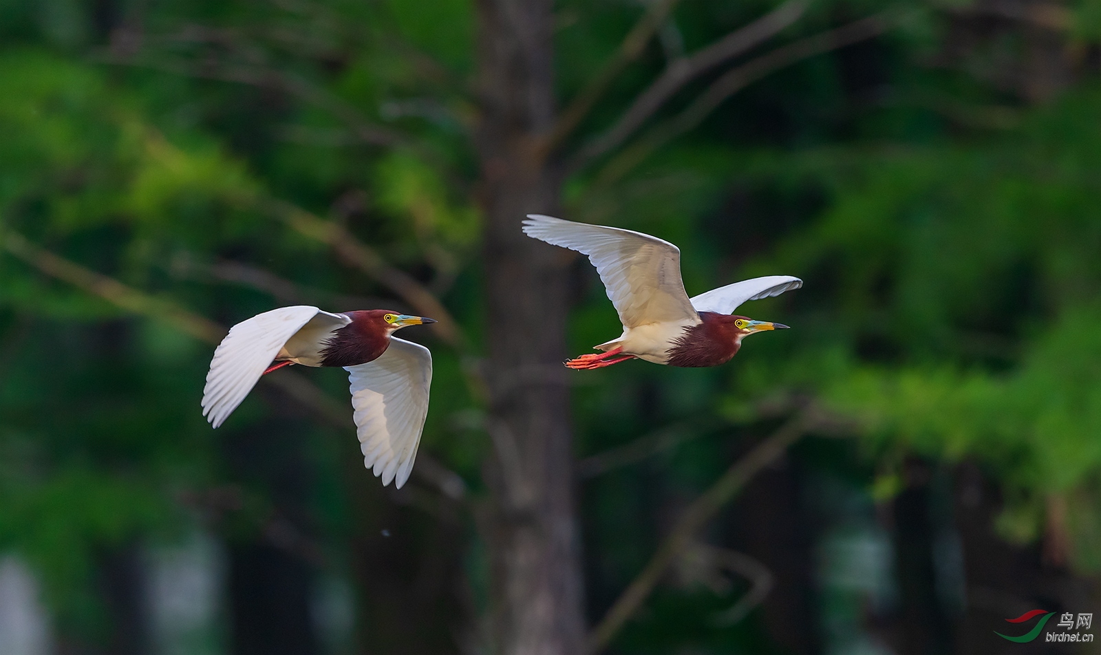 1DX_5712-Pano-1.jpg