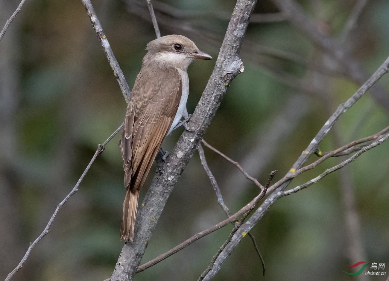 �������V