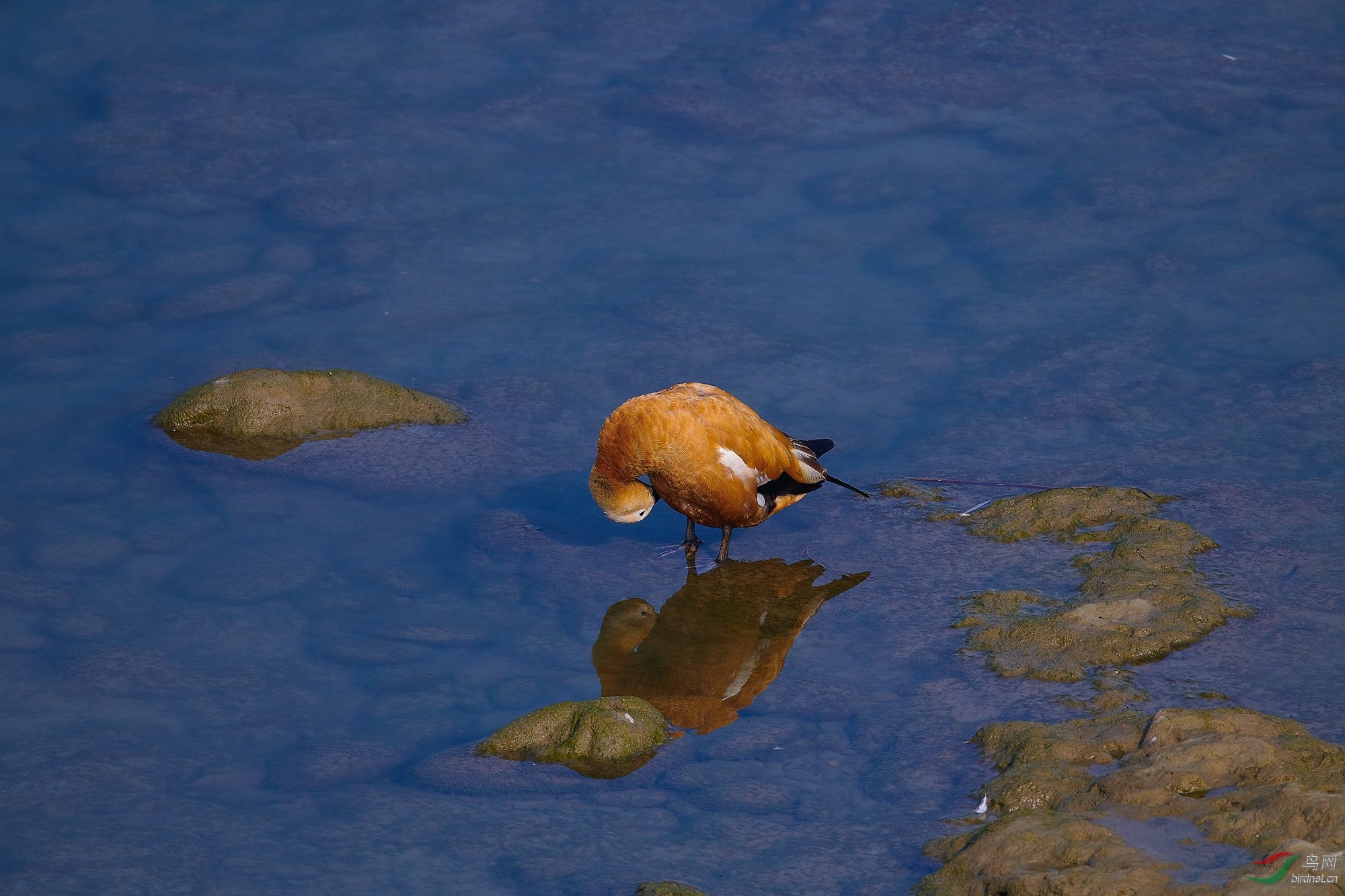 DSC_4492.jpg