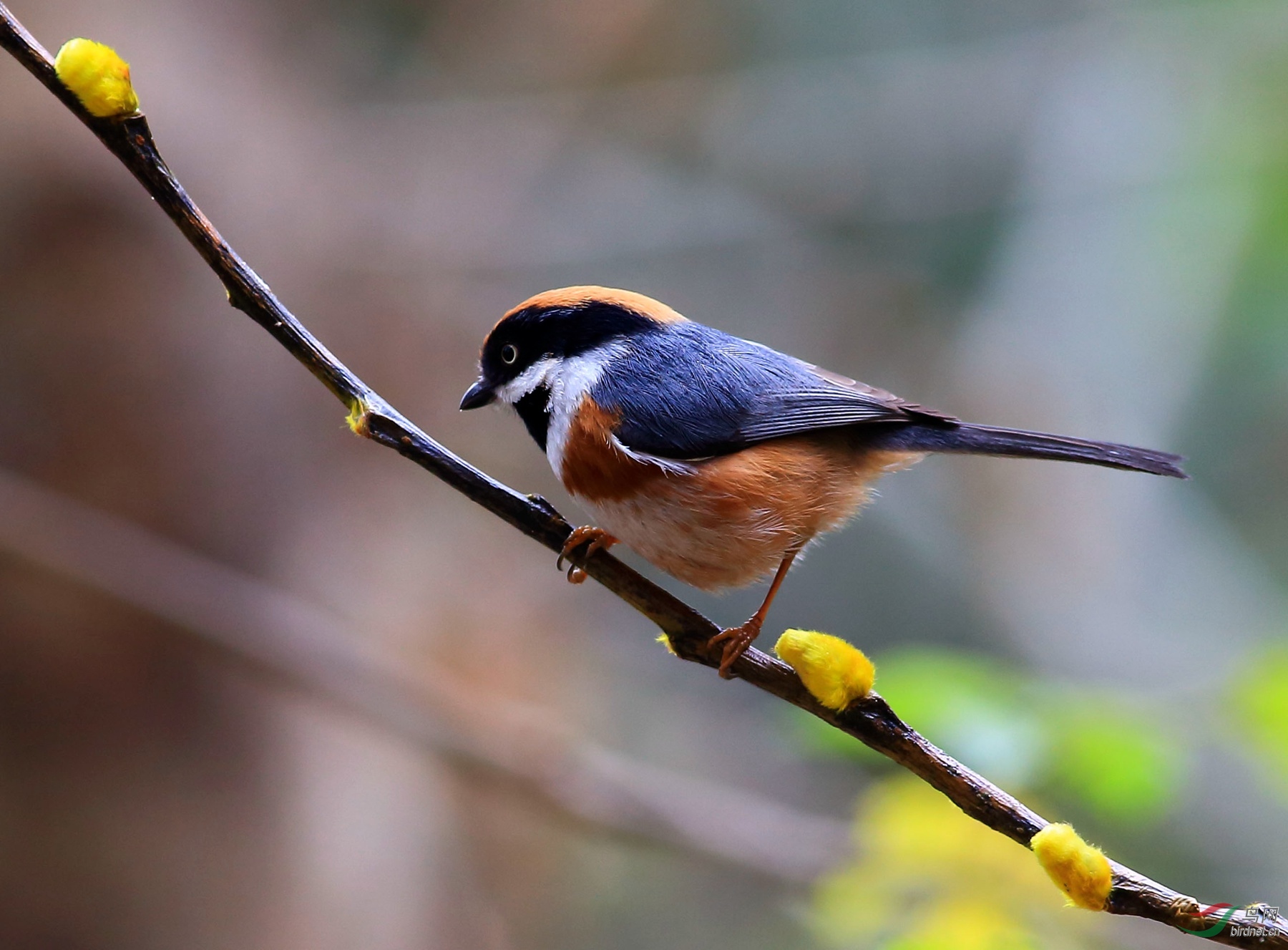 2020-01-19 14-08-04 (3).JPG