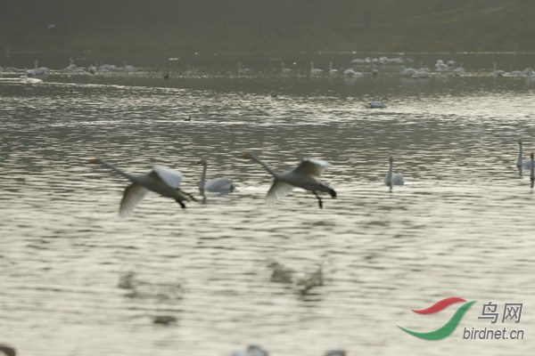 _E8J2257.jpg