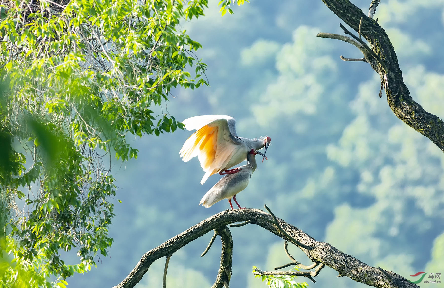 RAW Picture 22003140.jpg