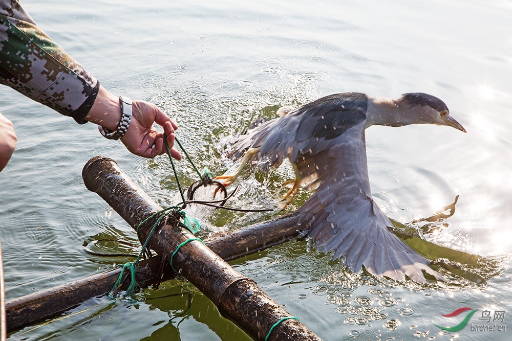 2.ԭ�������Ӱ�ס�˽�