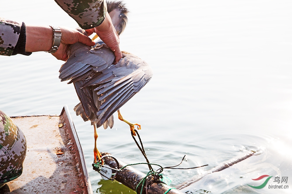 3.��������⿪