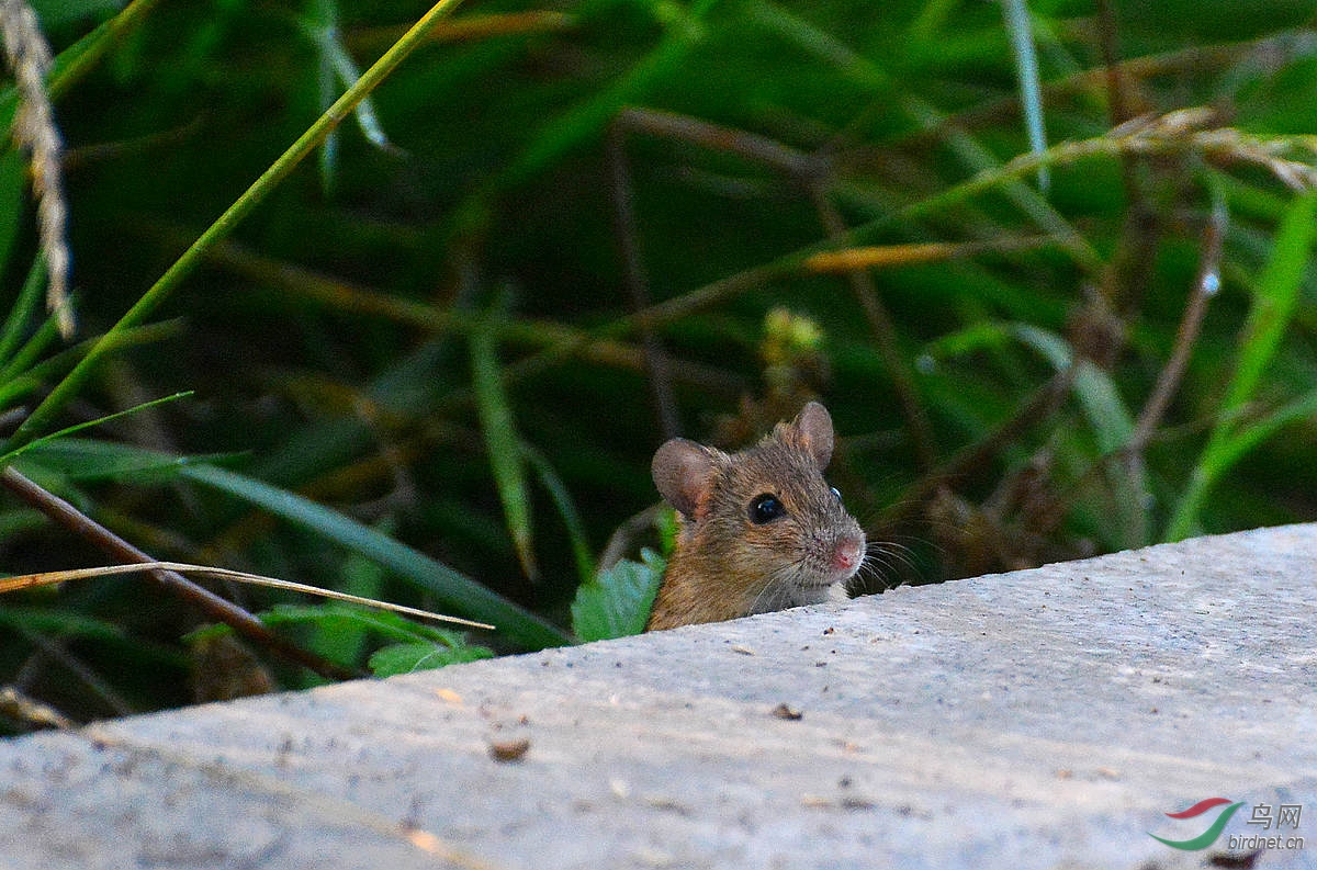 DSC_3693.JPG