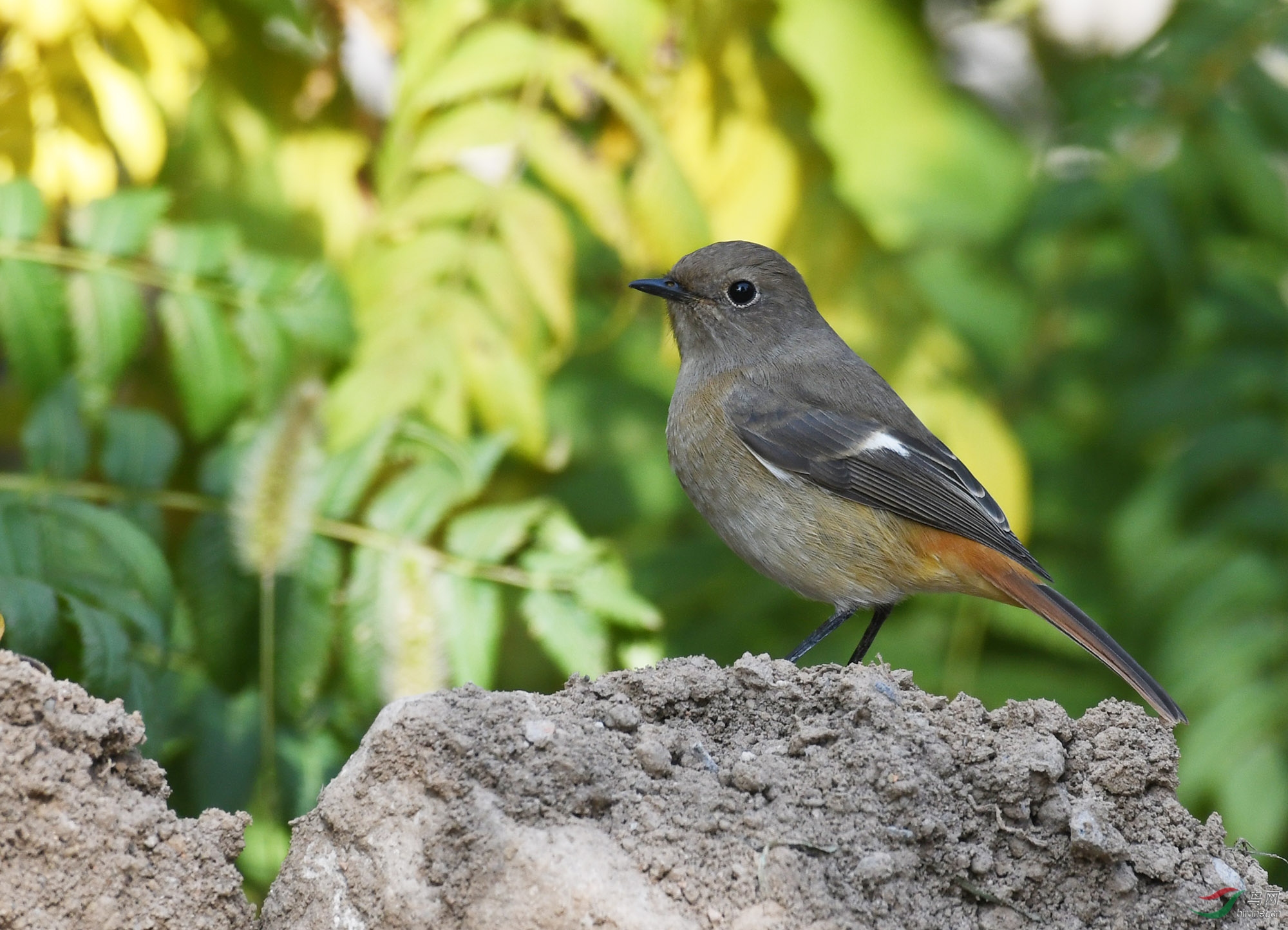 ������Ӱ 1564����.jpg