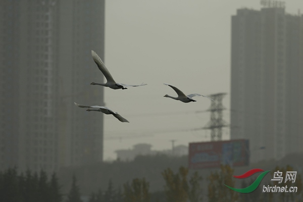 _E8J2408.jpg
