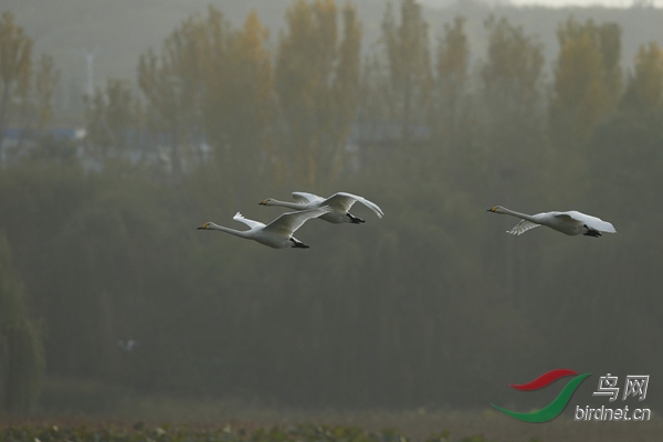 _E8J2157.jpg
