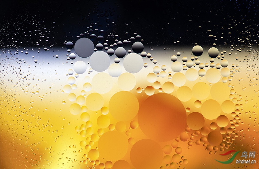B16I8514-1D.jpg