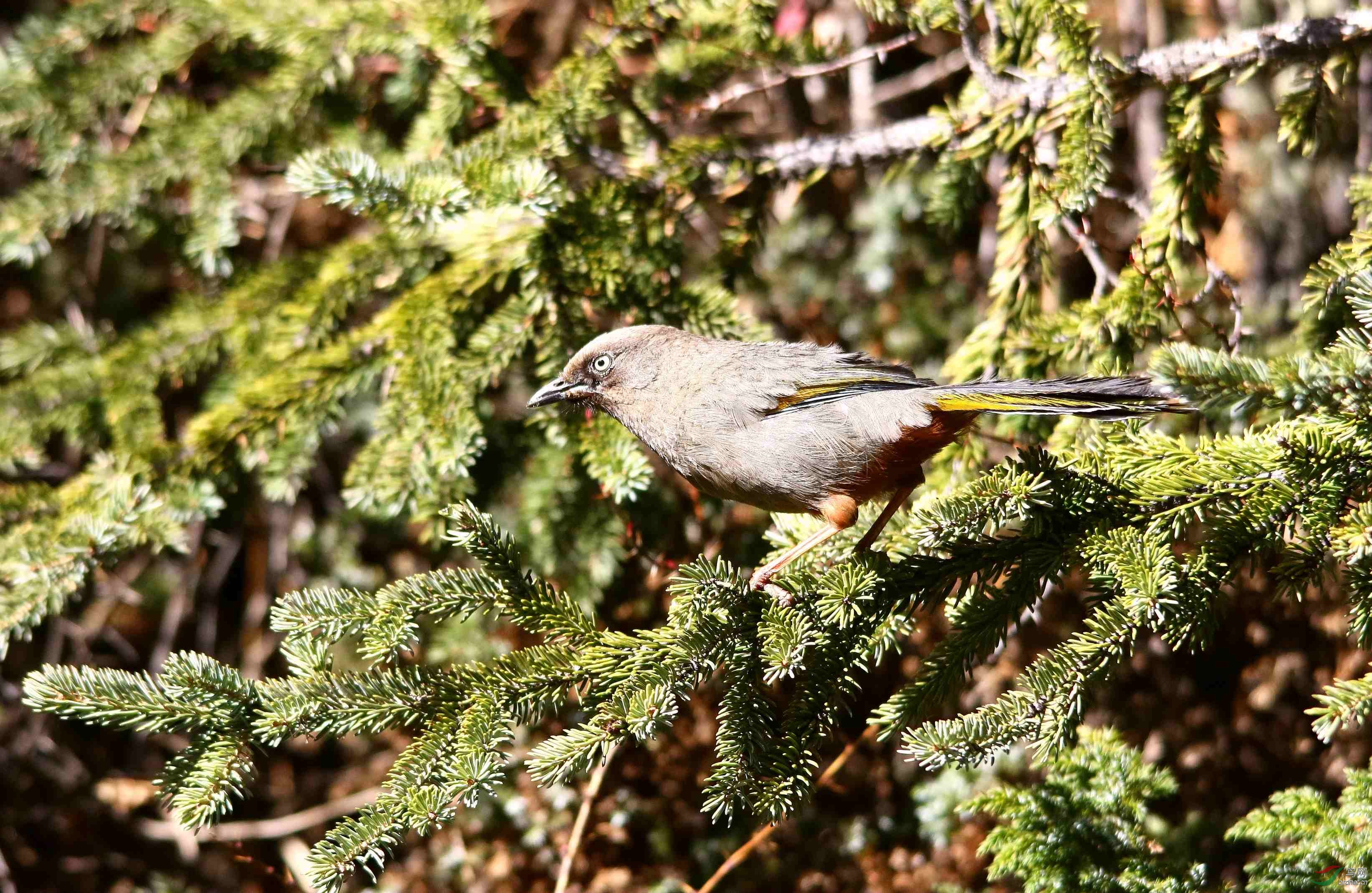 �ȳ����� (10).JPG