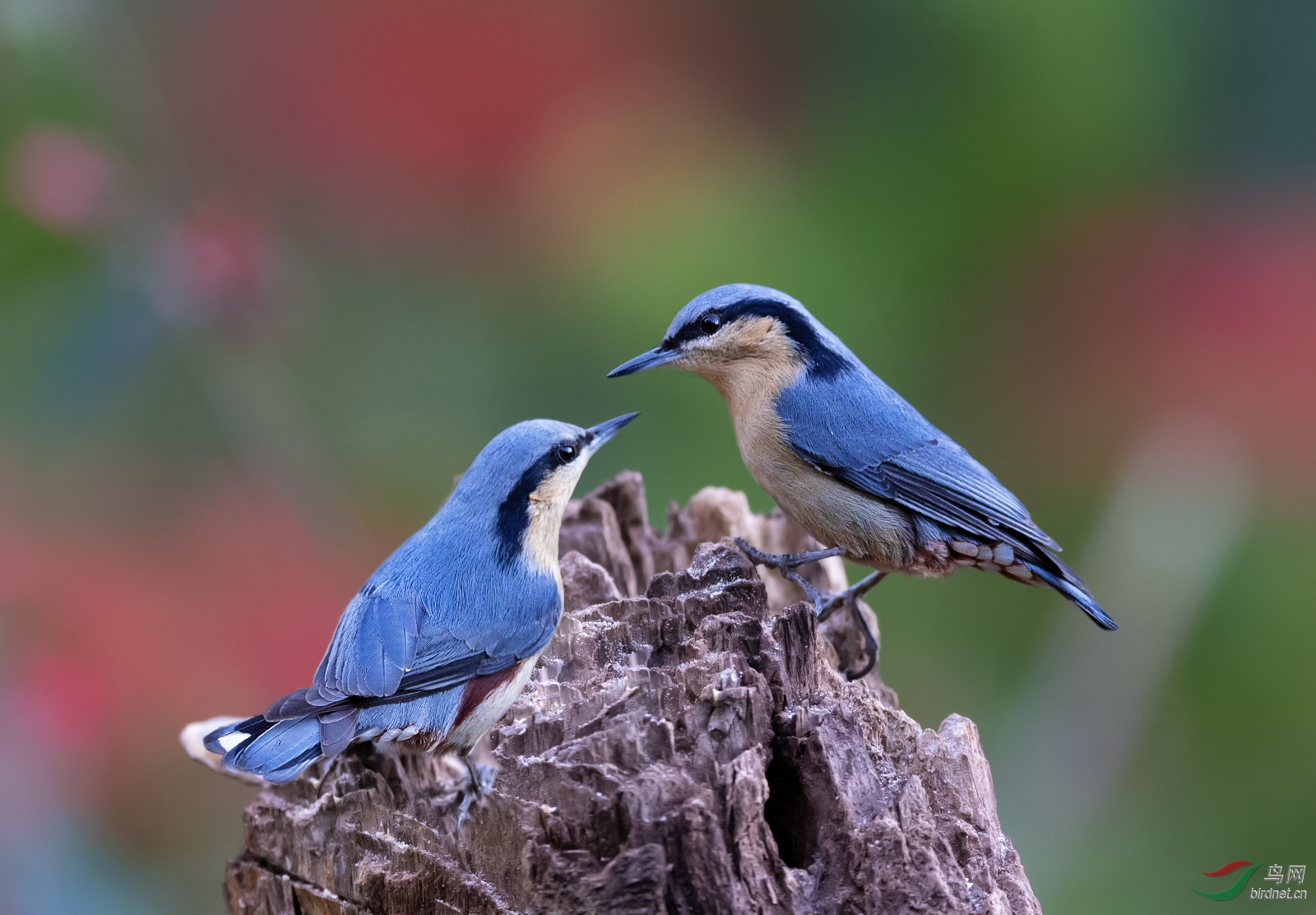 DSC_1416.jpg