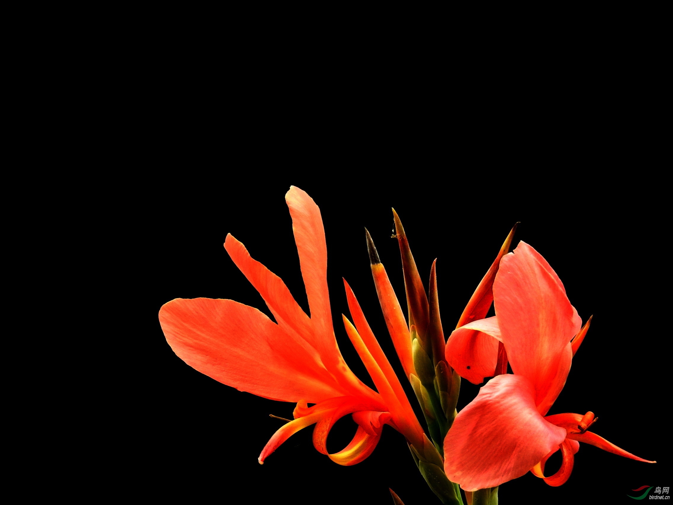 DSCN6388.JPG