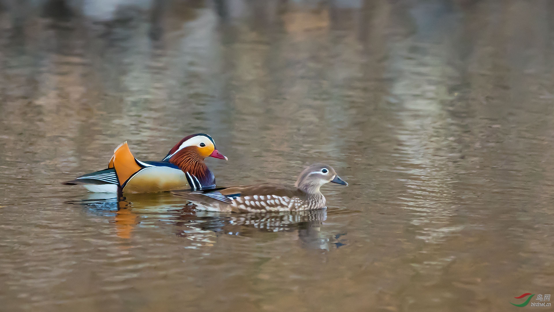 DSC_5375.jpg