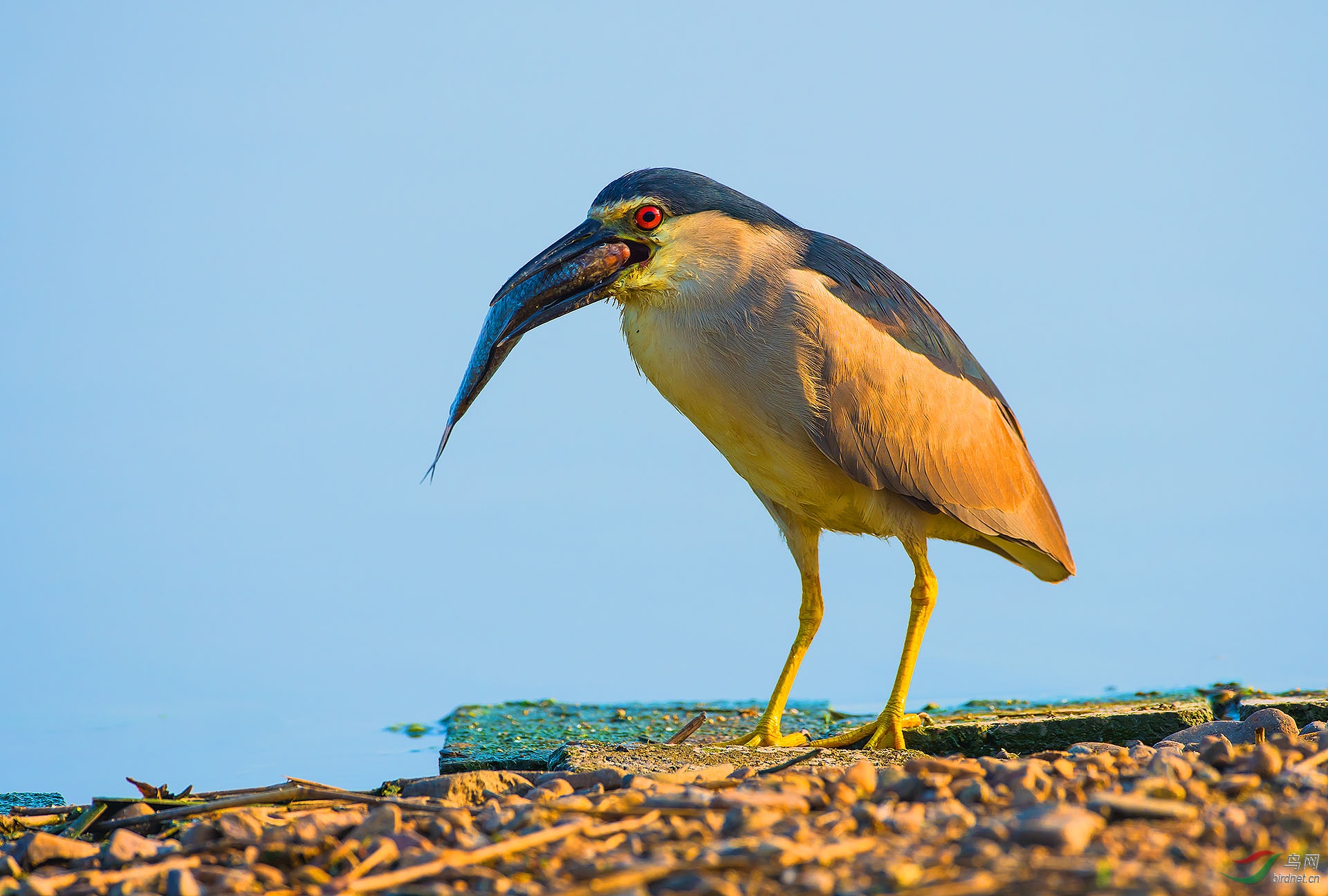 DSC_4817.jpg