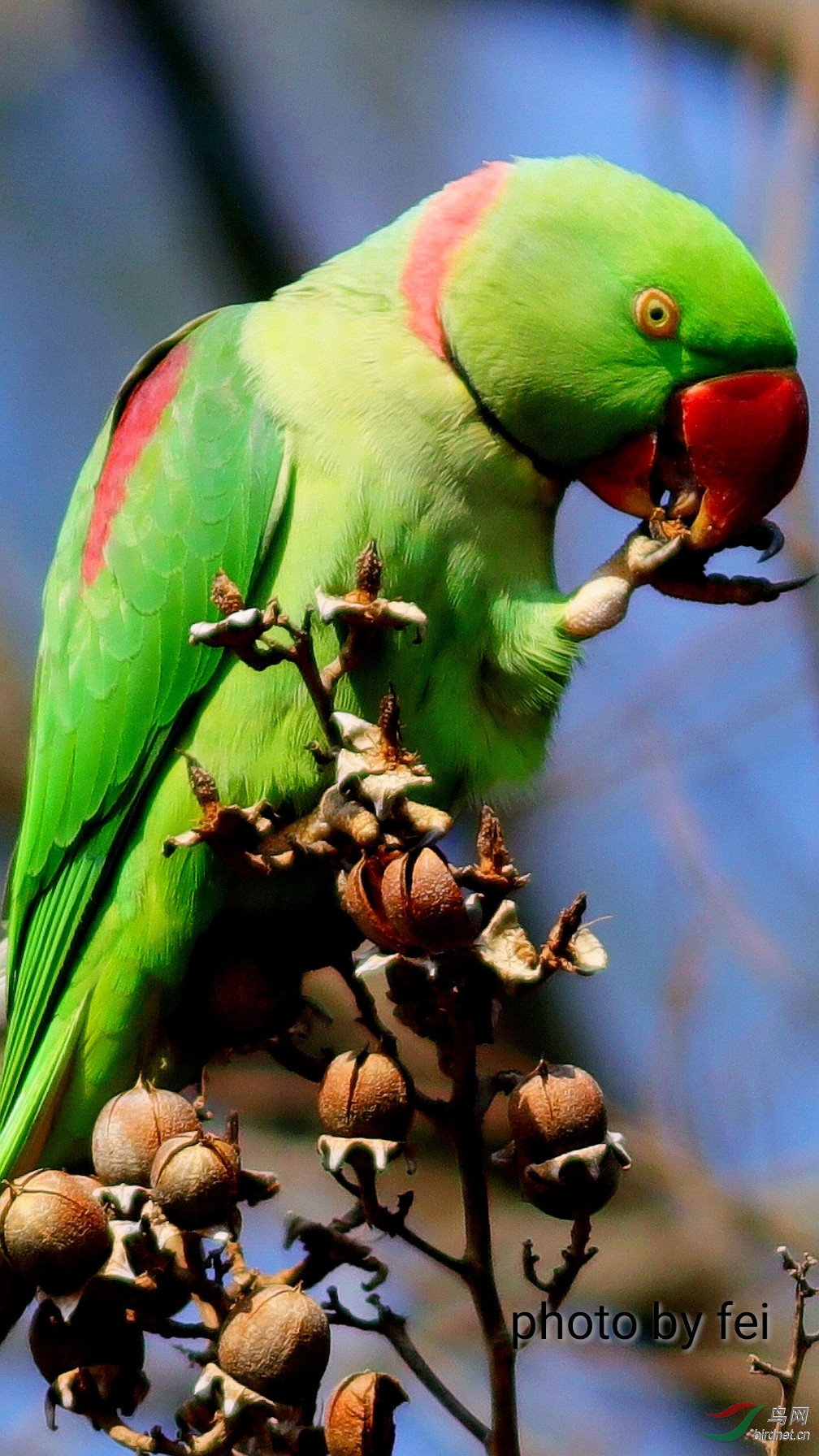 ����Լ8��