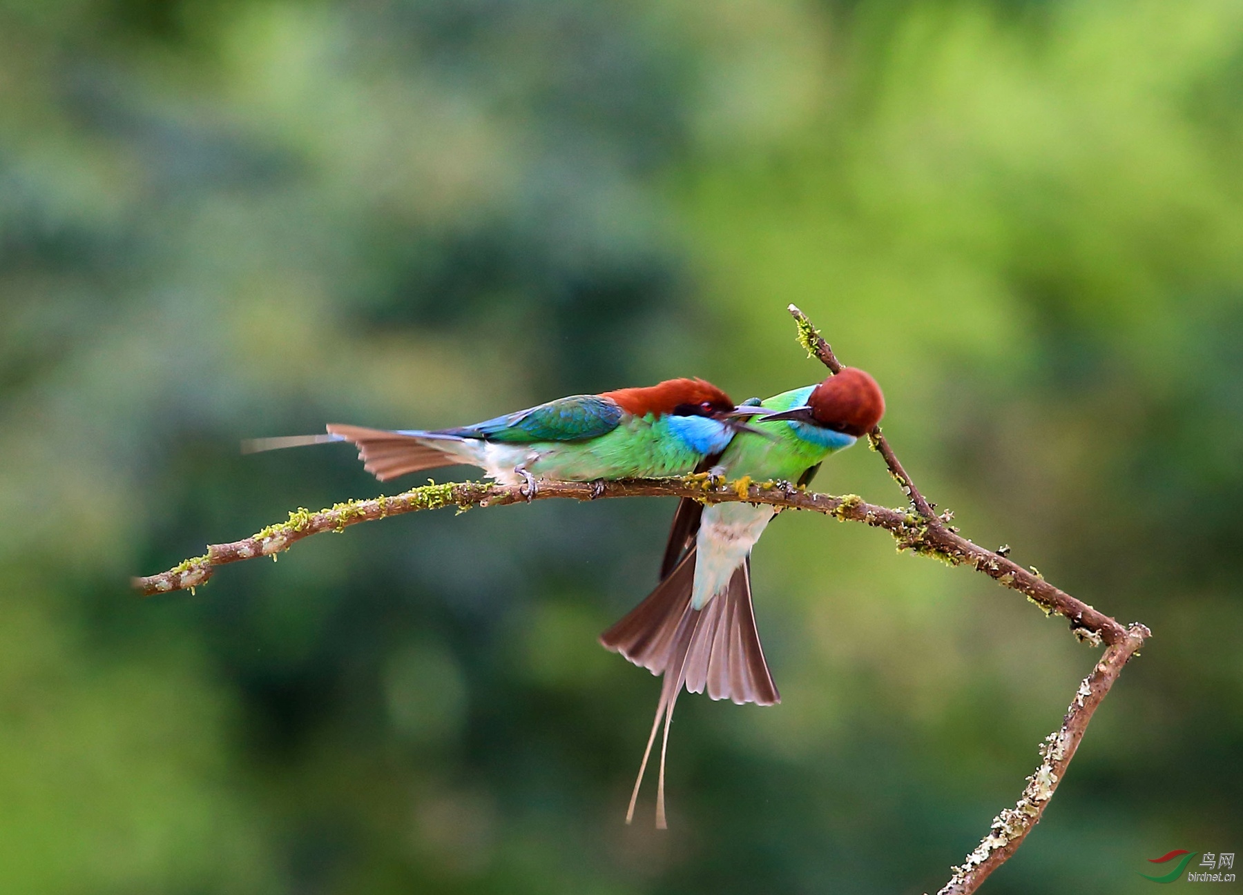 2019-06-22 15-57-07 (5).JPG