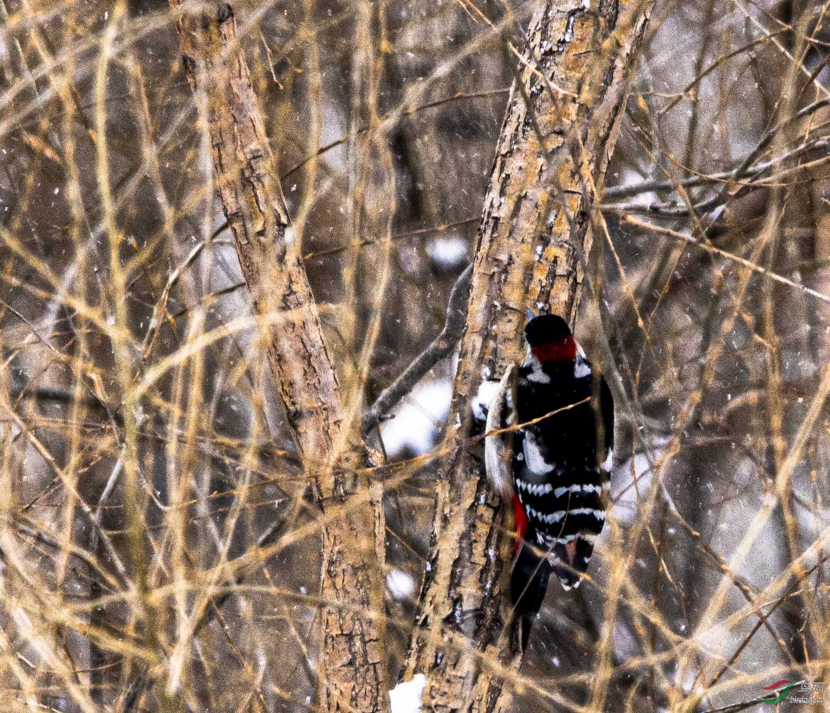 �����ľ��4