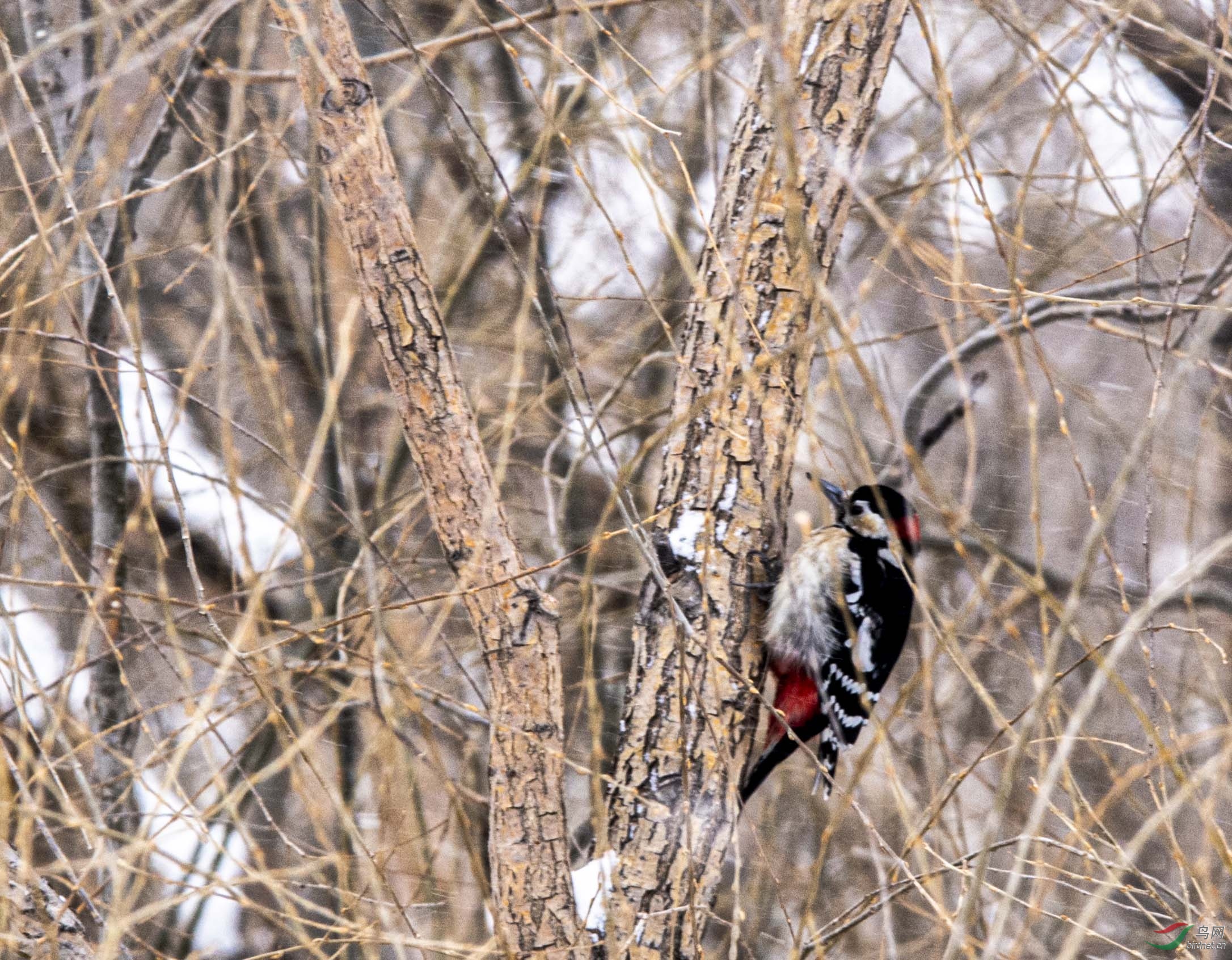 �����ľ��5