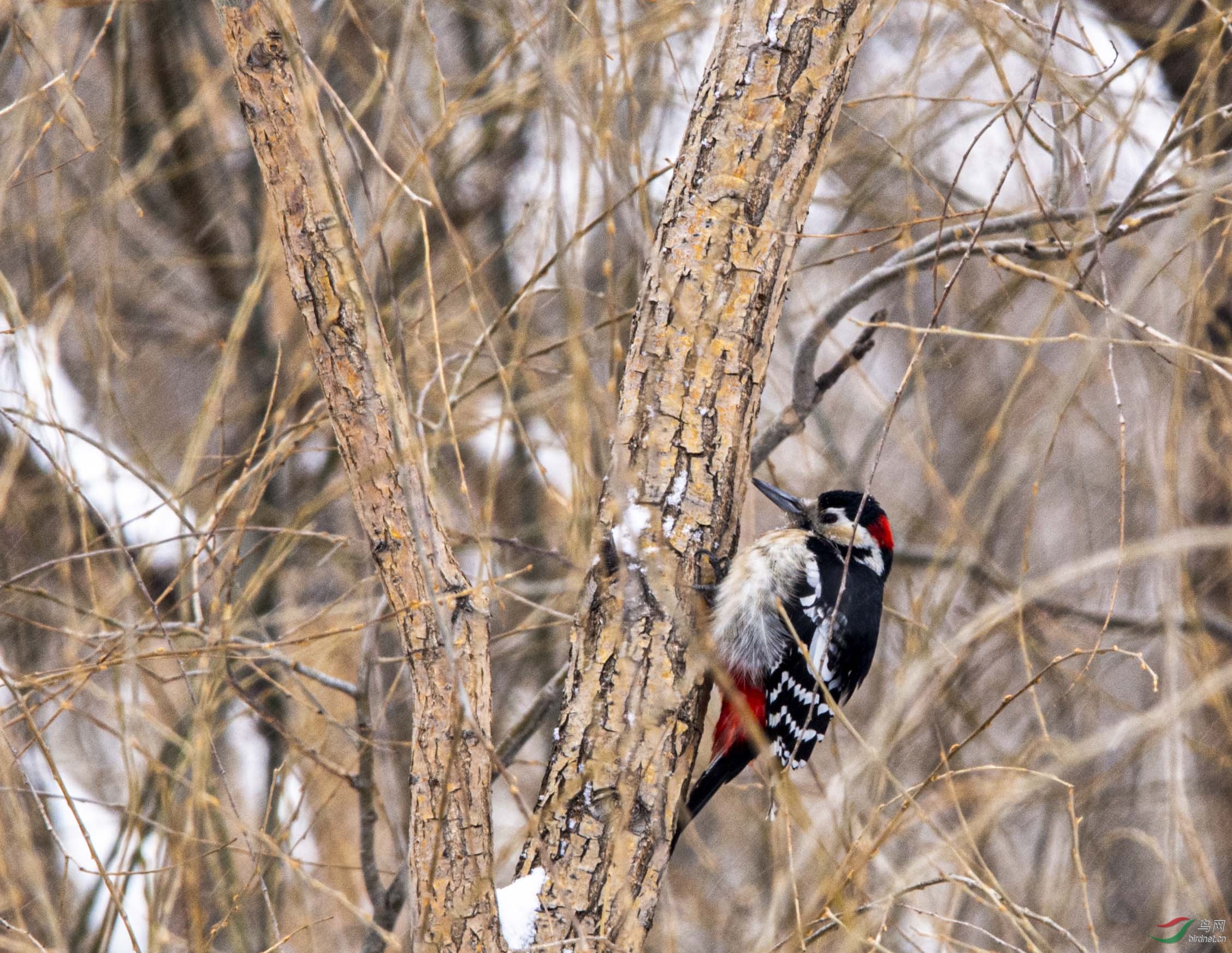 �����ľ��6