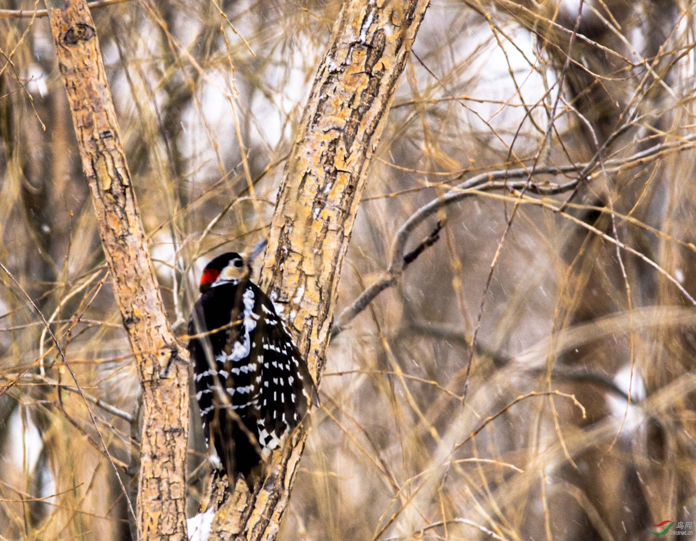 �����ľ��9