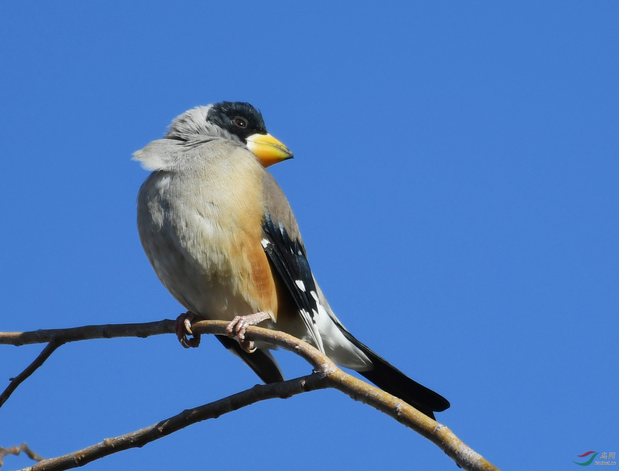 ������Ӱ 1385����.jpg