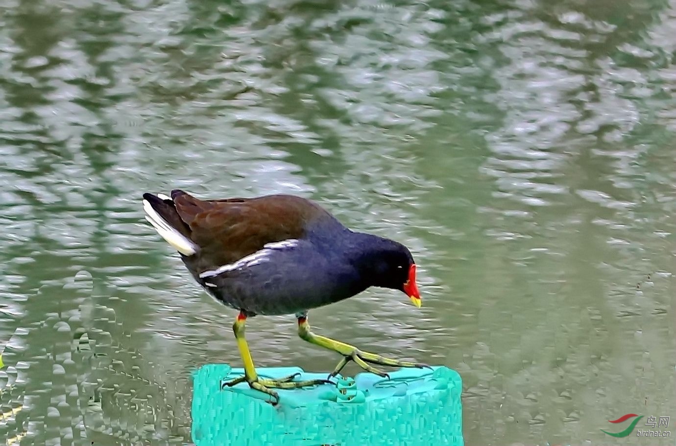 BK2A7916.JPG