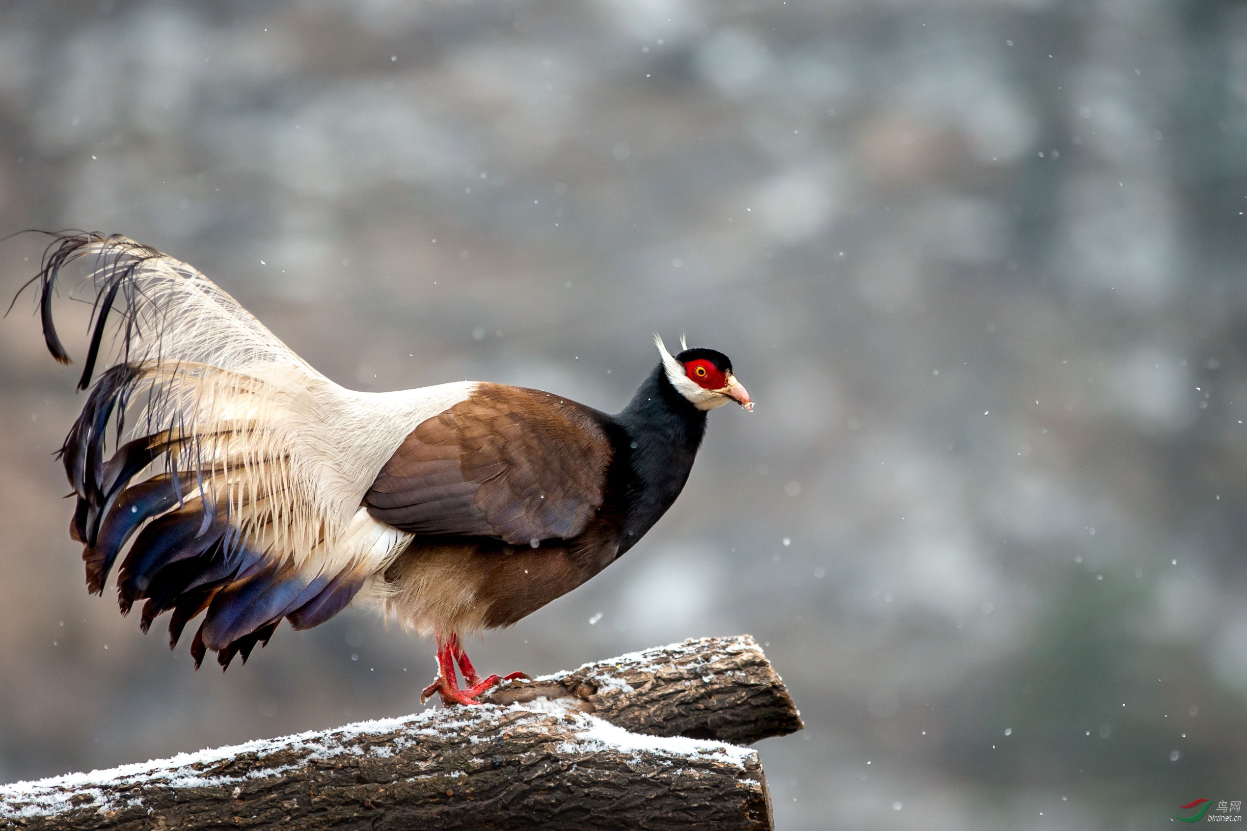 ������ (8).JPG