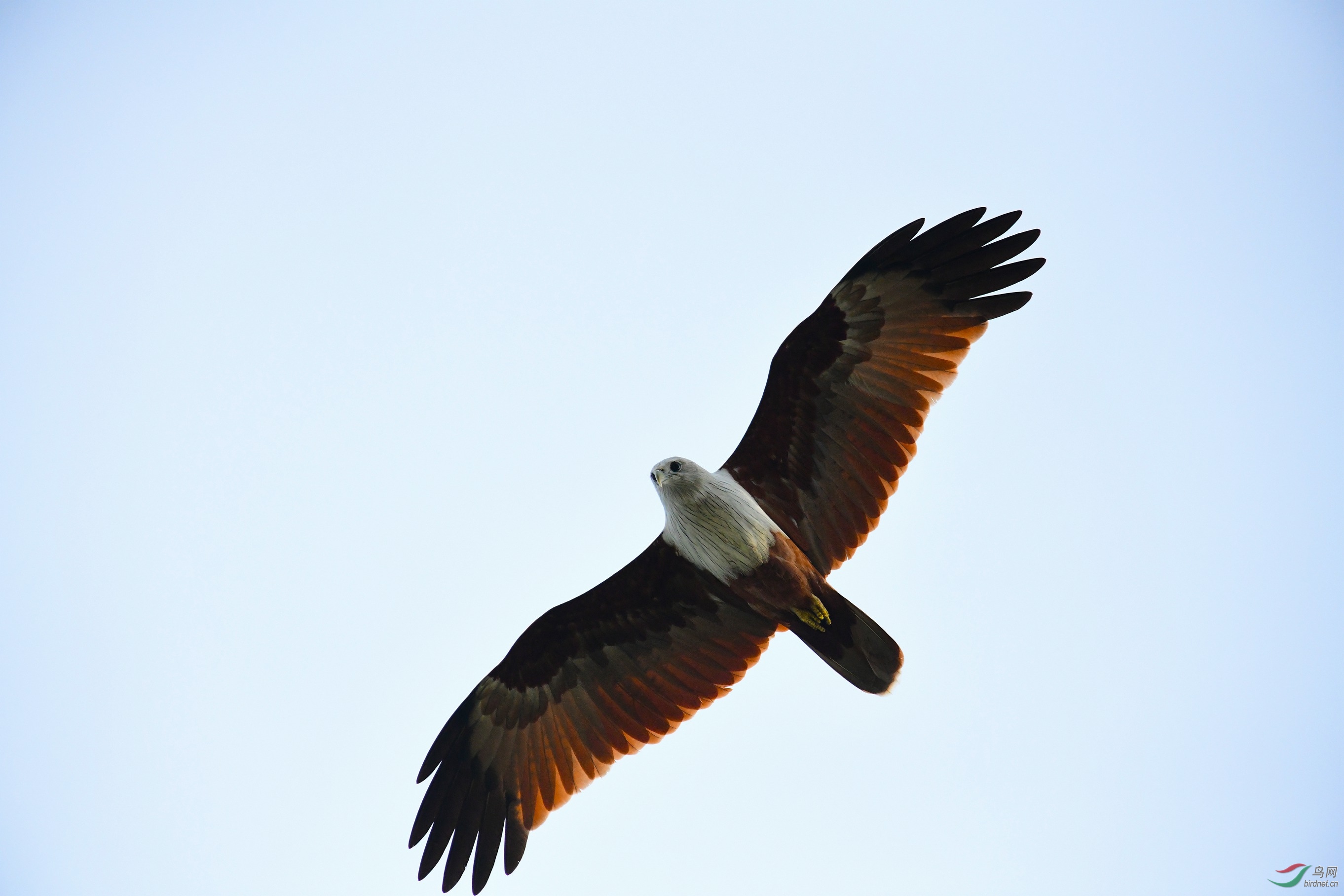 DSC_1119.JPG