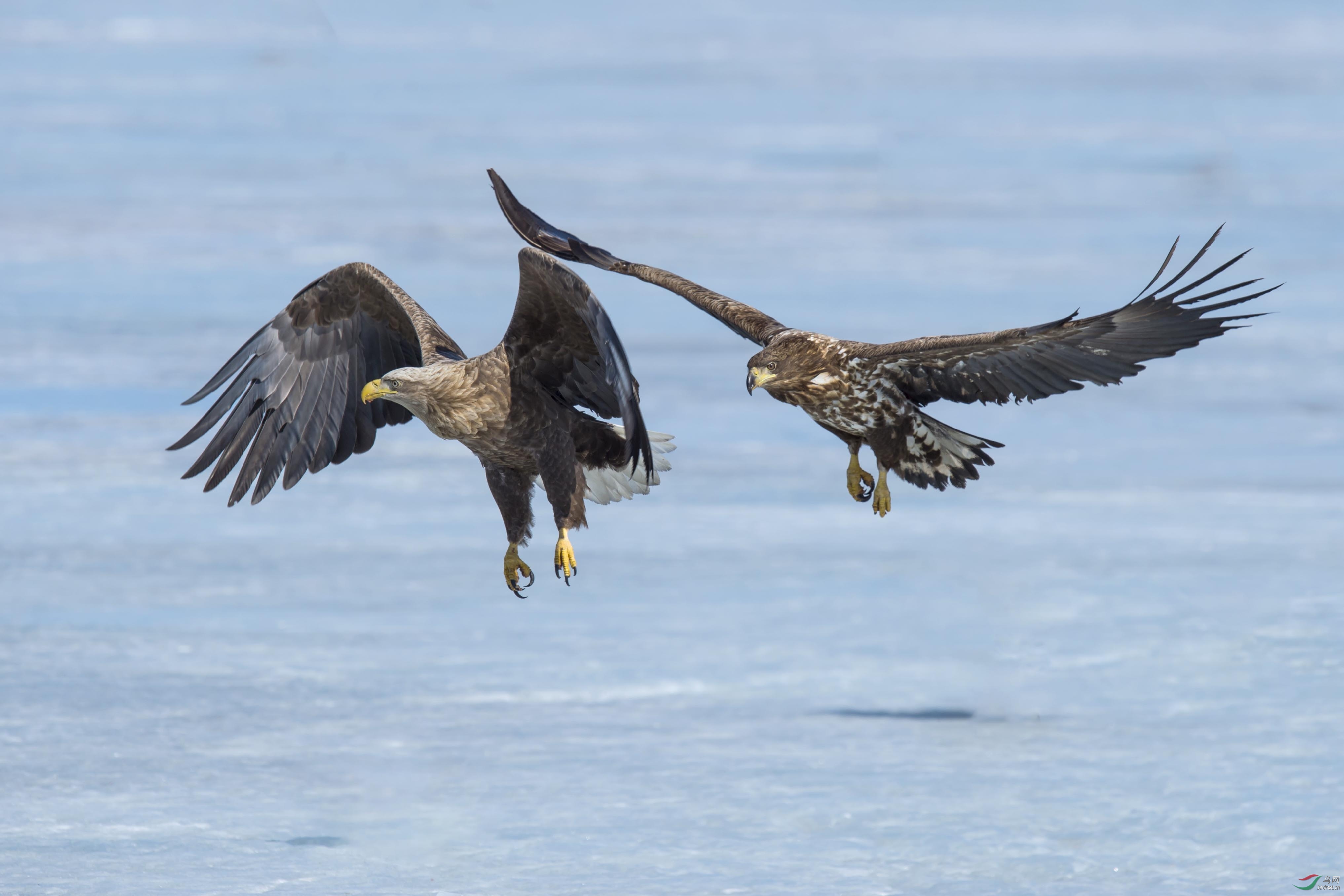DSC_1641.jpg