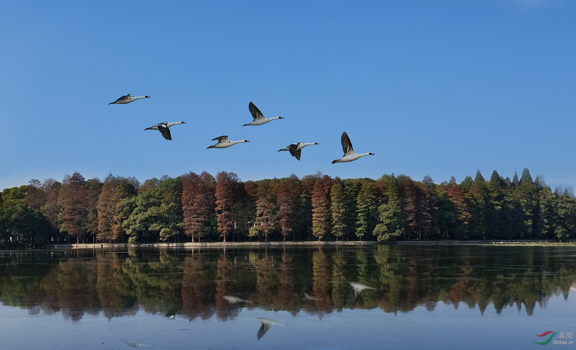 20181103_110455.jpg