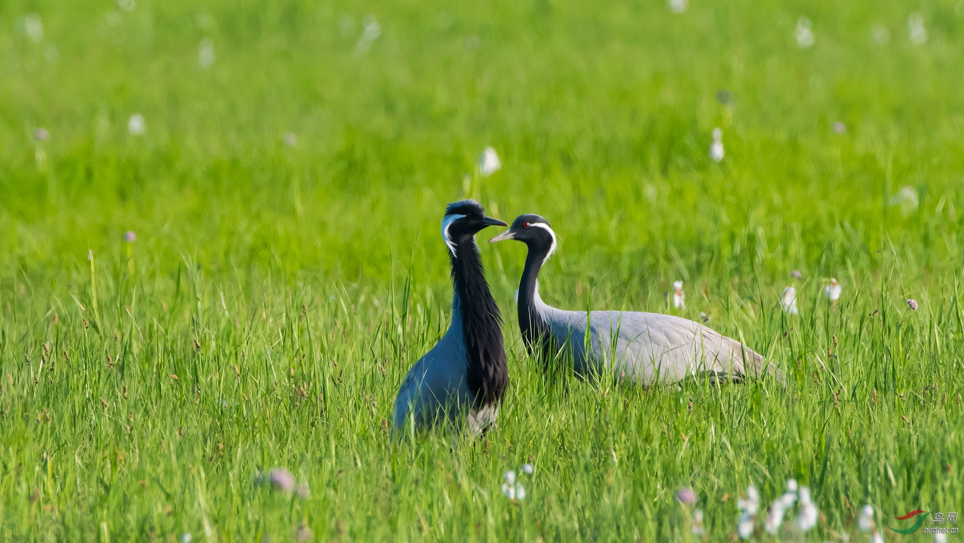 DSC_2216.jpg