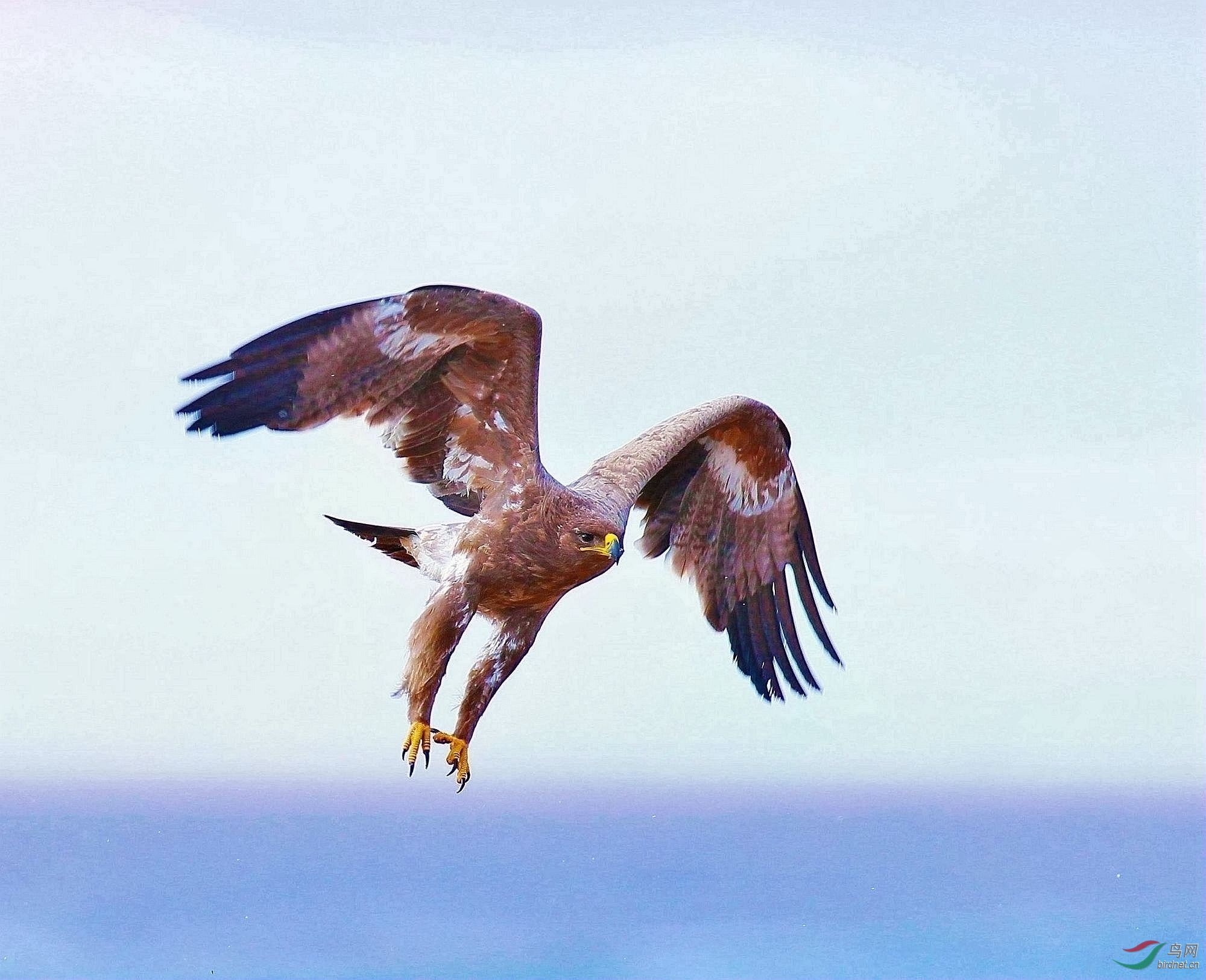 3000 (1)2000_����.jpg