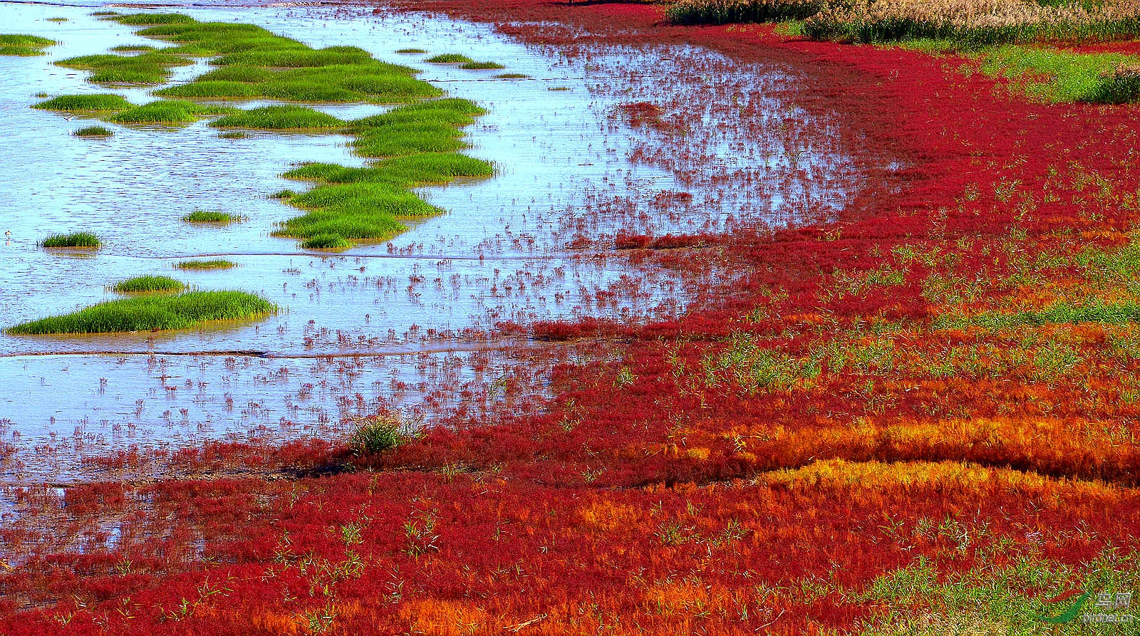 DSC_6432   11_����.jpg