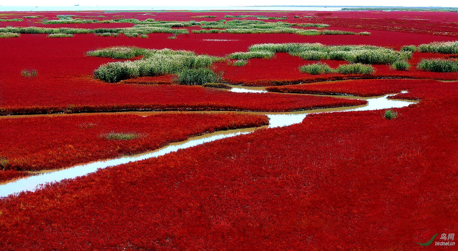 DSC_6336  11_����.jpg