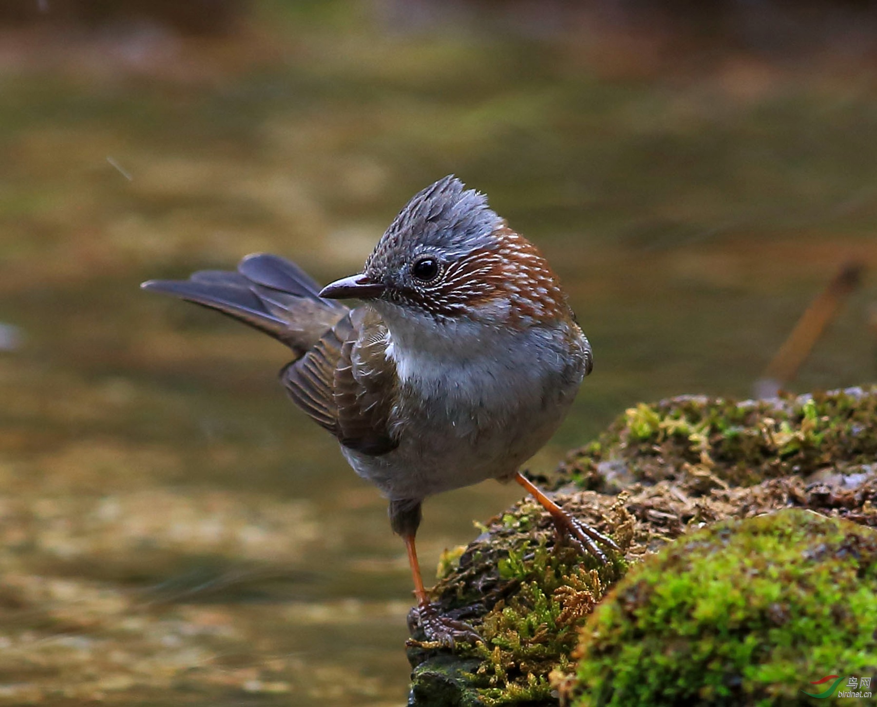 2020-01-18 11-42-32 (3).JPG