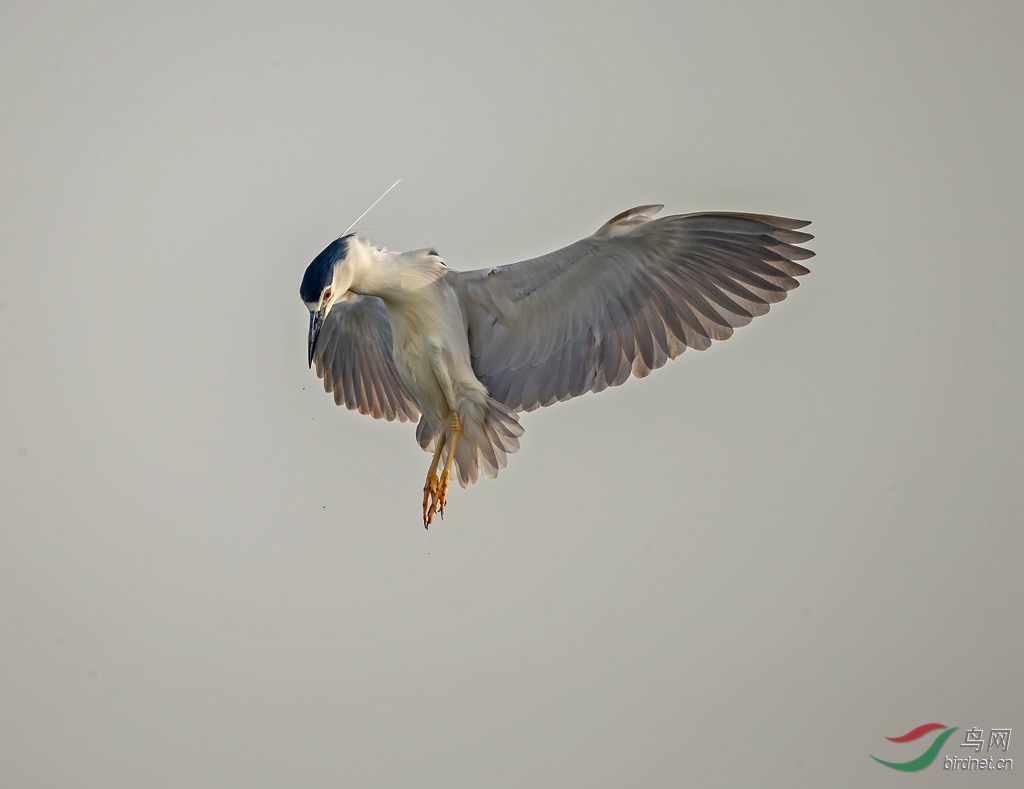 _H0Z7897_����.jpg
