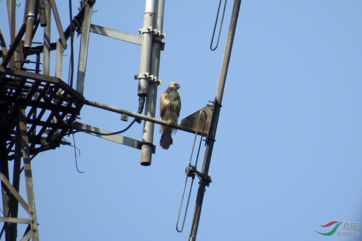 DSCN8407.JPG