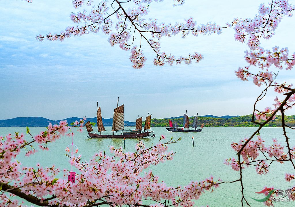 �ѻ���Ӱ̫����