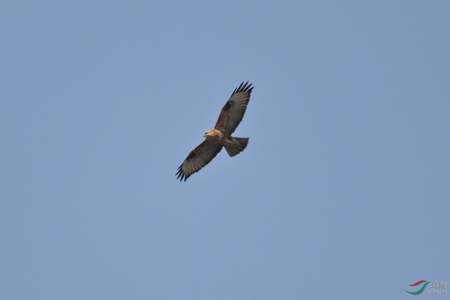 IMG_6034.JPG