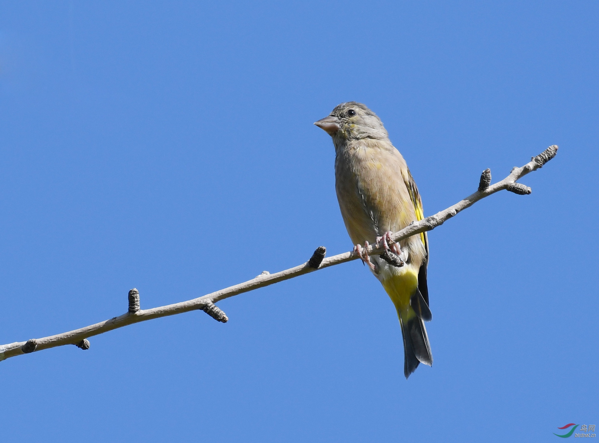 ������Ӱ 657����.jpg