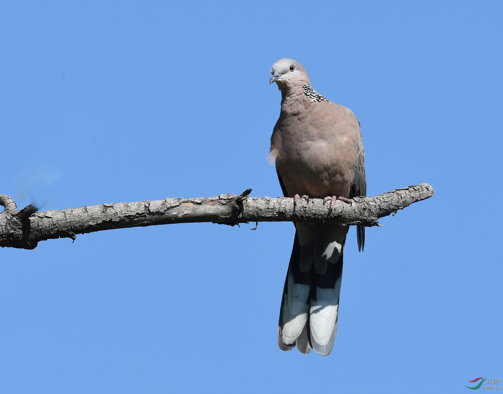 ������Ӱ 669����.jpg