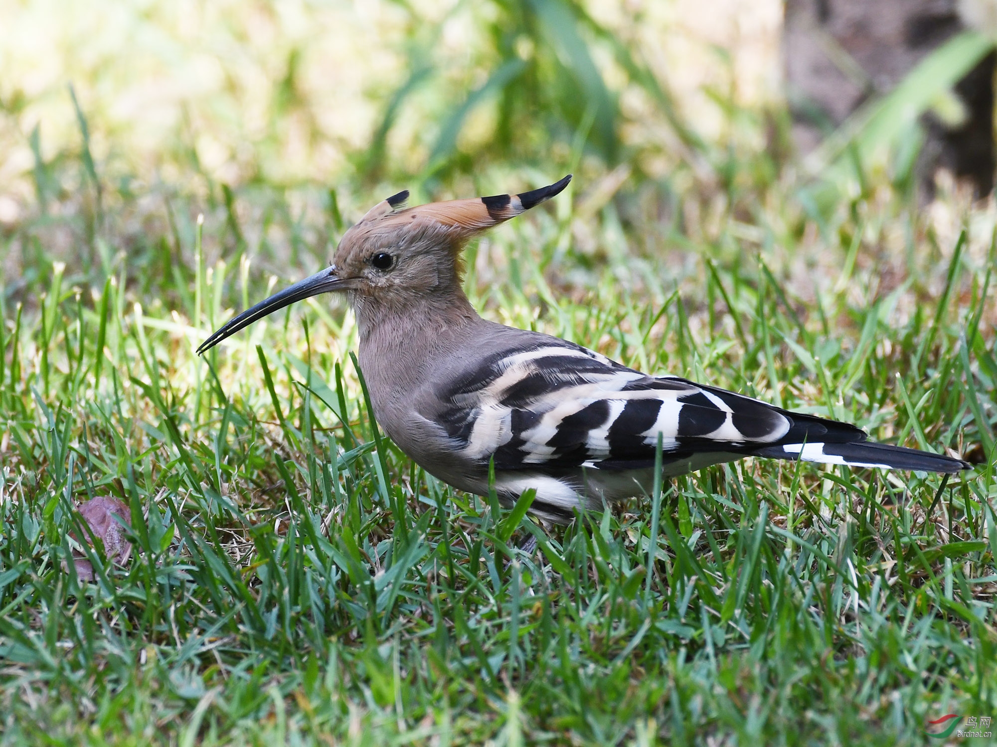 ������Ӱ 877����.jpg