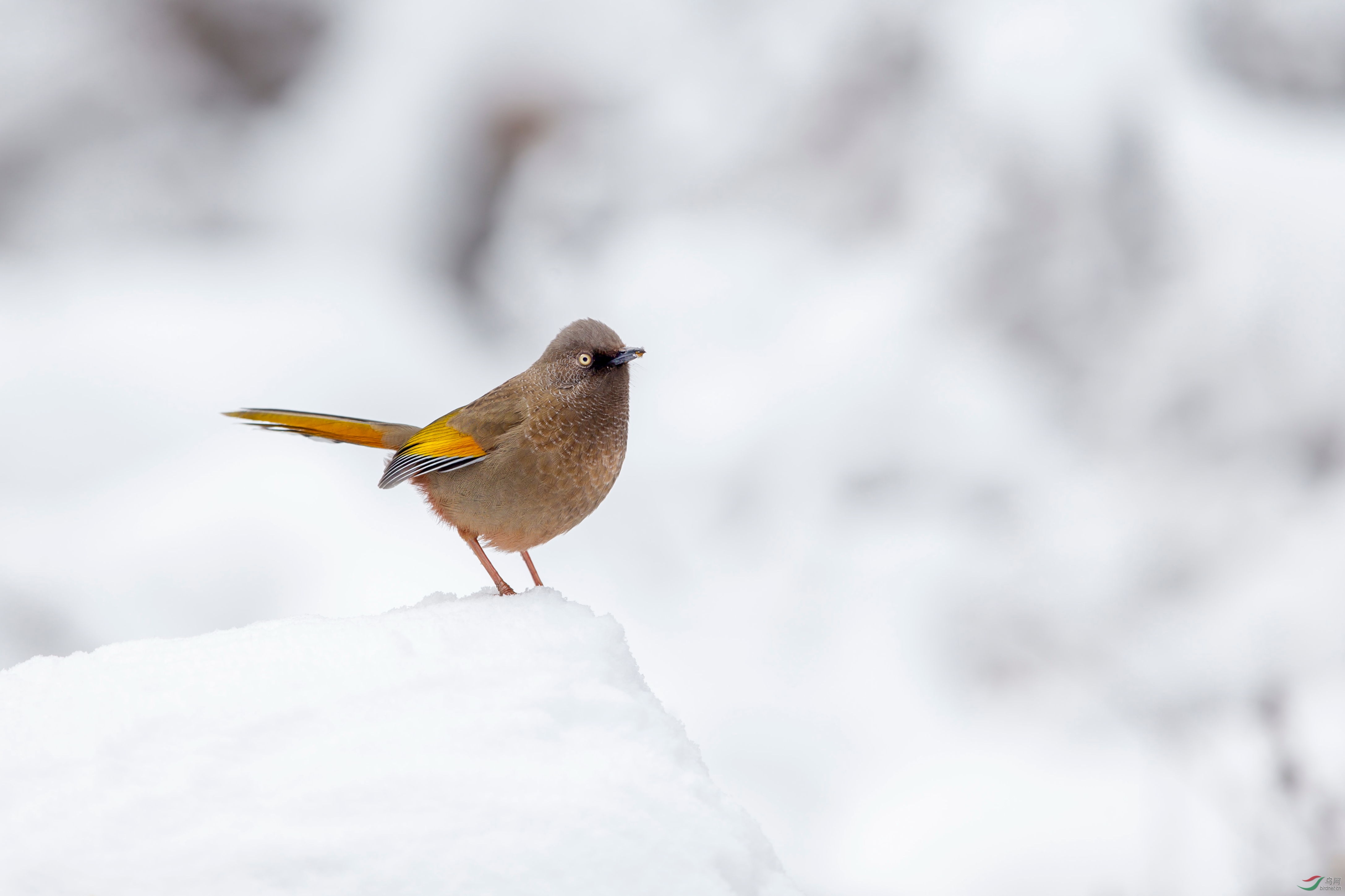 �ȳ����� (1).JPG