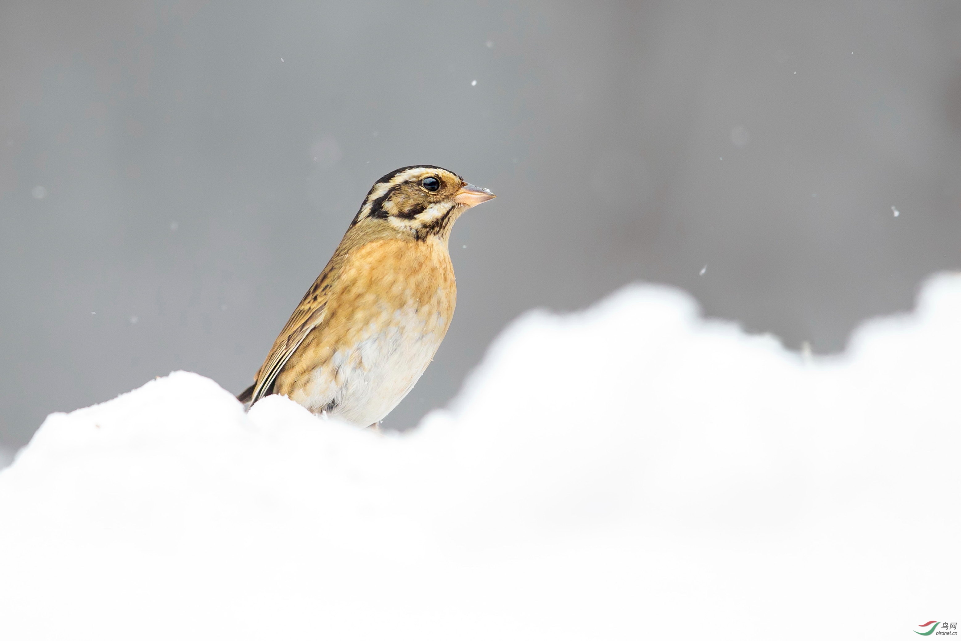 ��ü�c (1).JPG