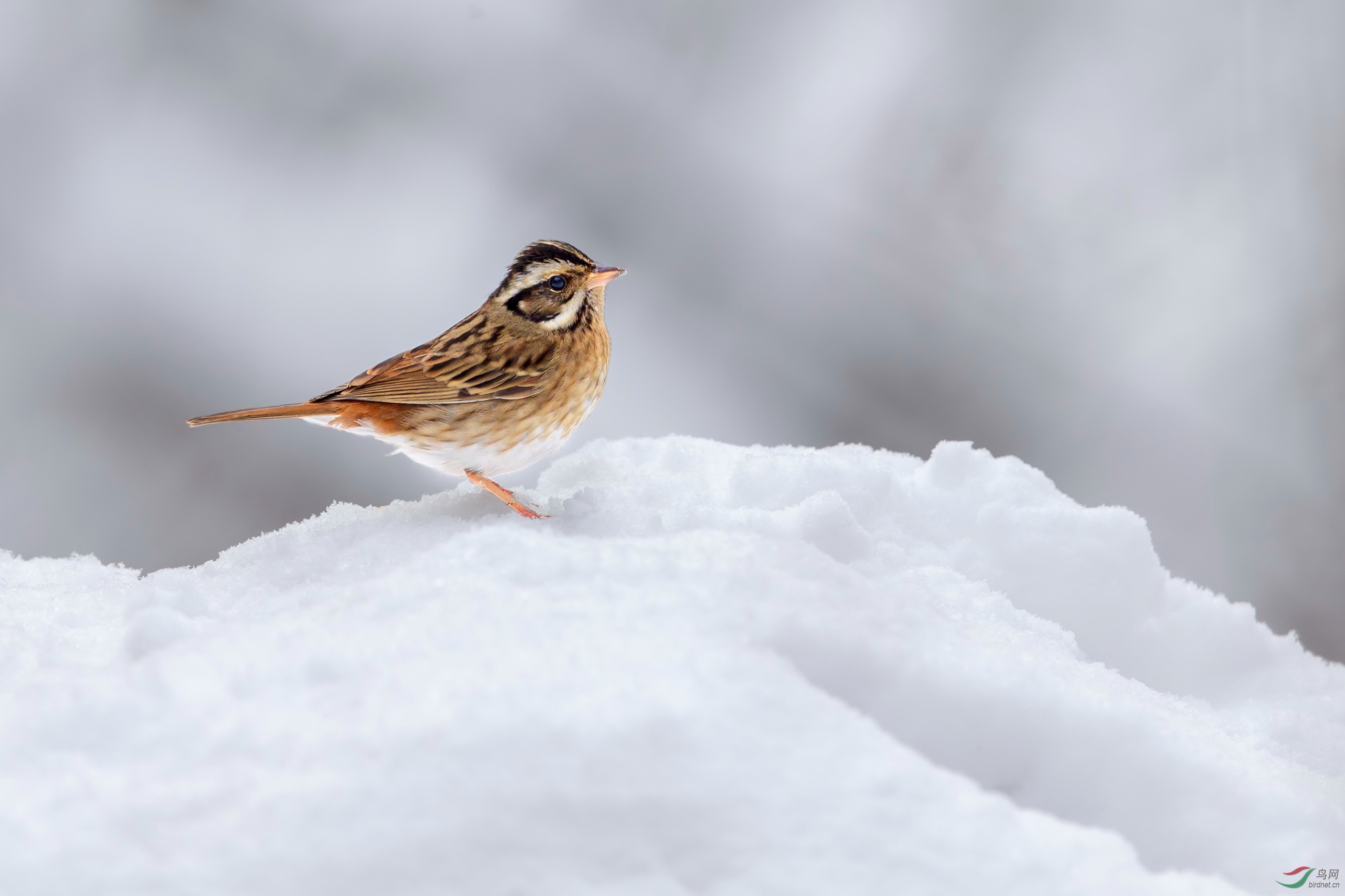 ��ü�c (2).JPG