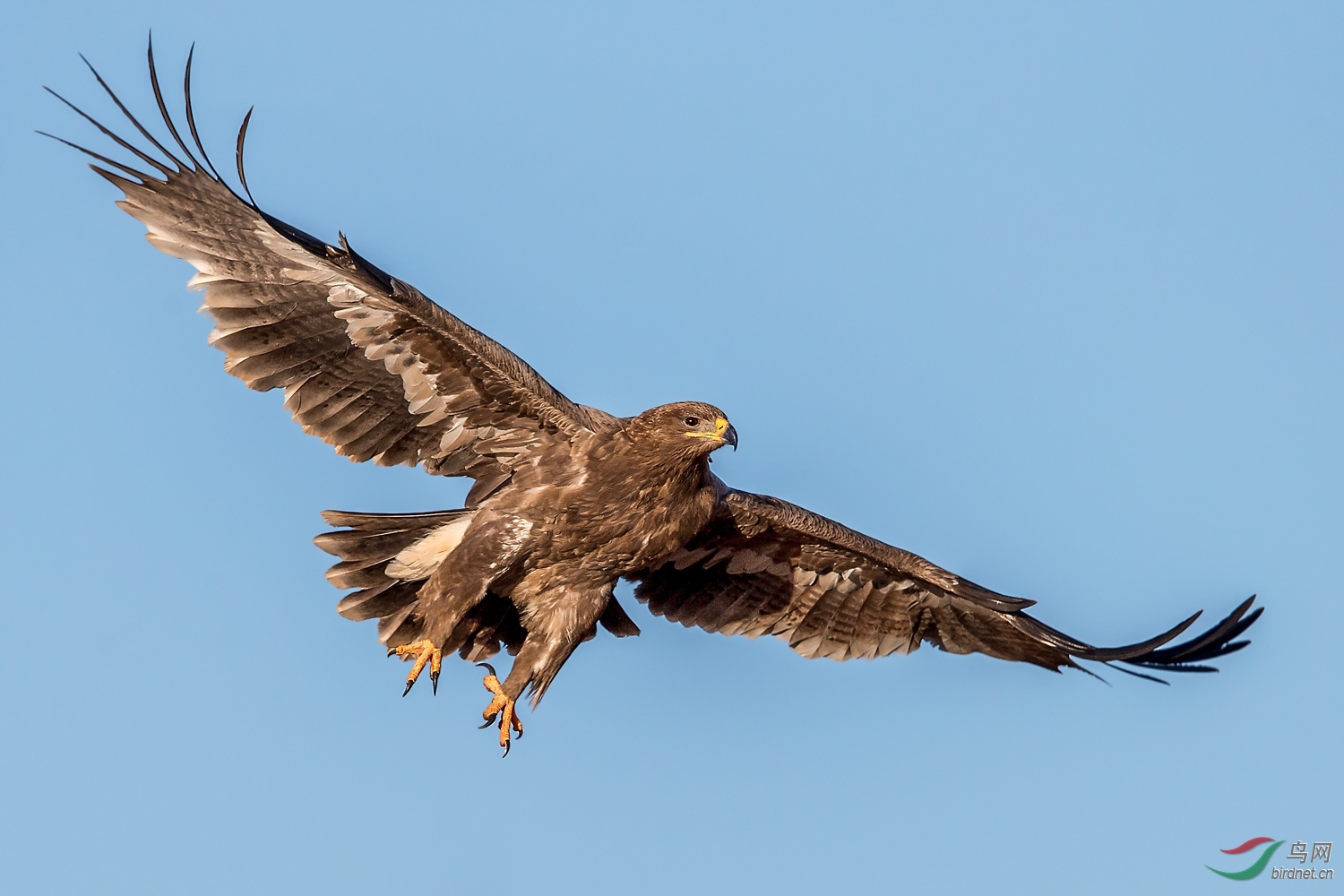 AP0O5735-1.jpg