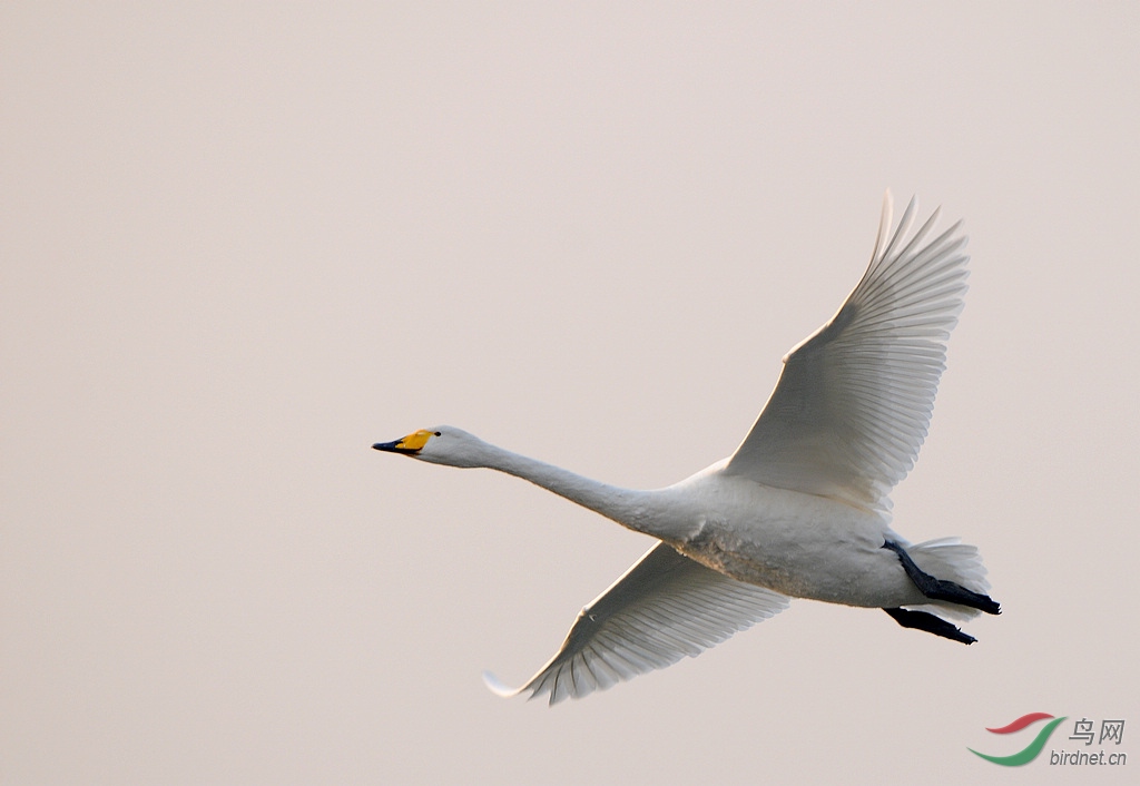 DSC_0103.jpg